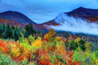 Fall Foliage in Westchester: Places You Should Visit