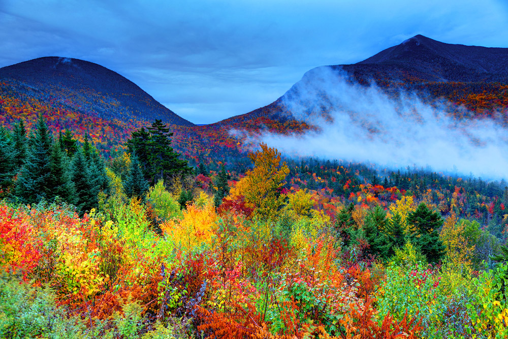 Fall Foliage in Westchester Places You Should Visit